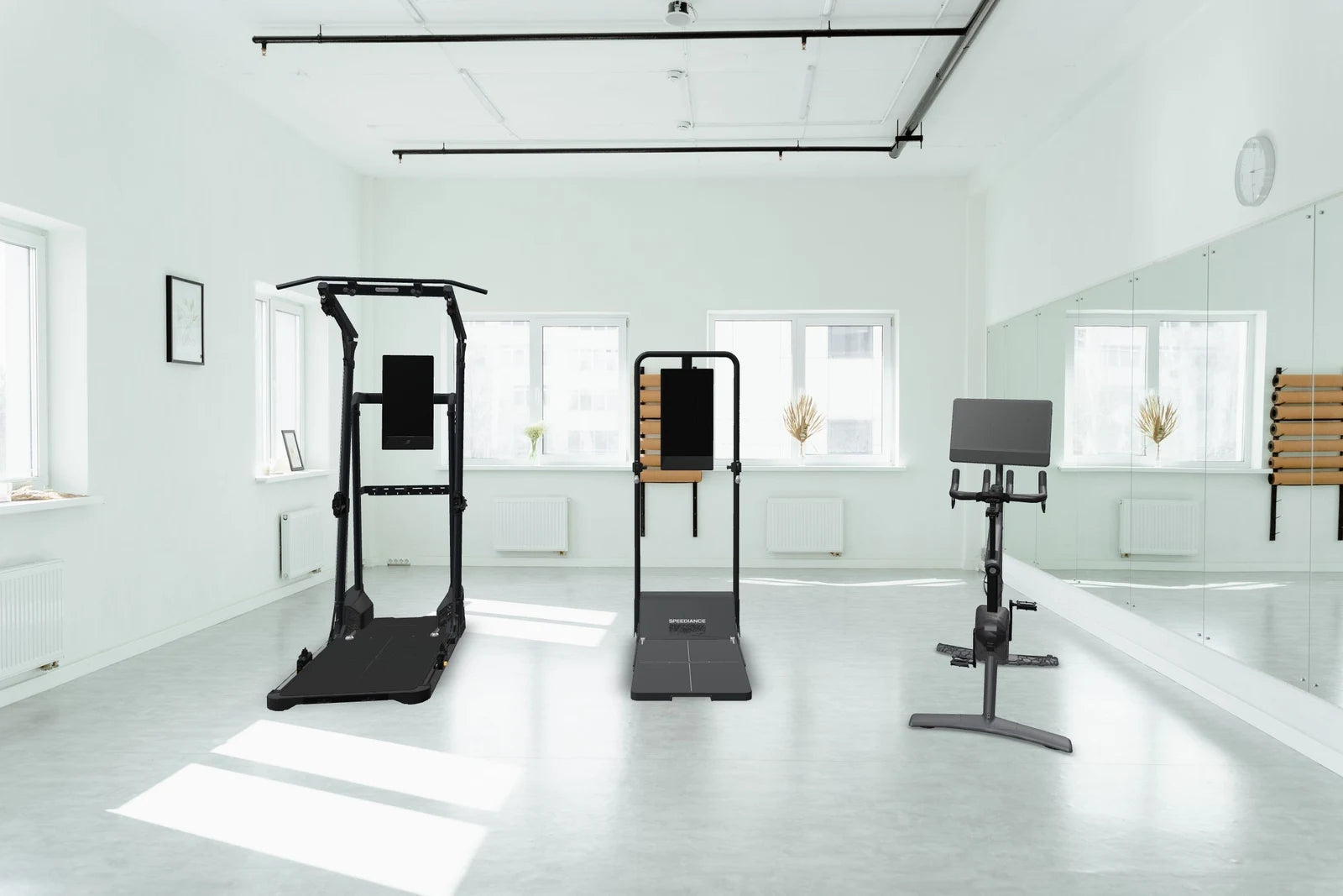 Studio with Gym Monster Ultra, Gym Monster 3, VeloNix placed at true size
